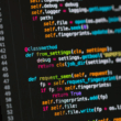 Software Developer