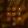 iPhone Password
