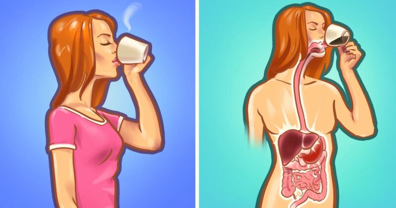 Empty Stomach