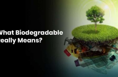 Biodegradable