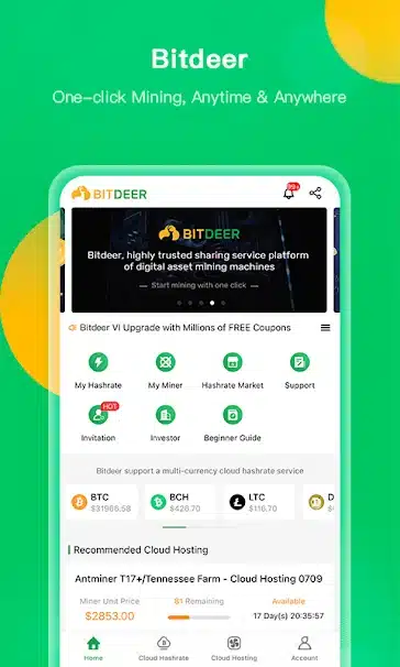 bitdeer