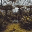Greenhouse
