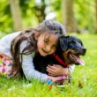 Best Dog Breeds for Kids