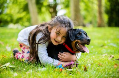 Best Dog Breeds for Kids