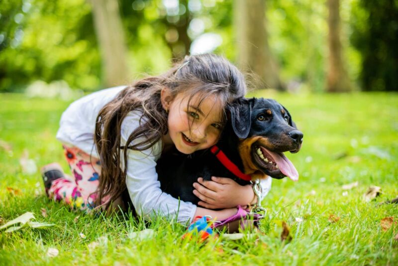 Best Dog Breeds for Kids