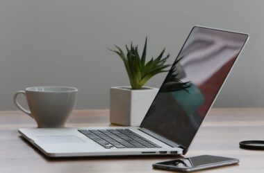 Best Plants for Office Space
