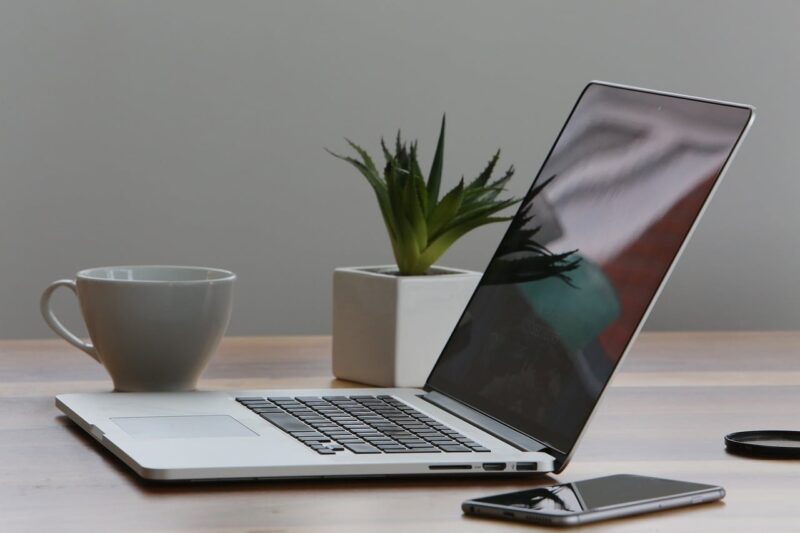 Best Plants for Office Space