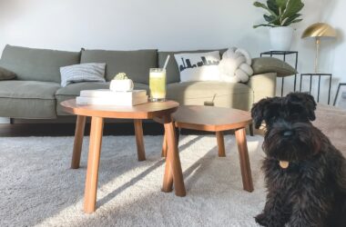 Choosing the Perfect Carpet for Your Living Room