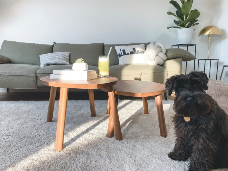 Choosing the Perfect Carpet for Your Living Room