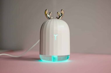 Cool Mist Vs Warm Mist Humidifier