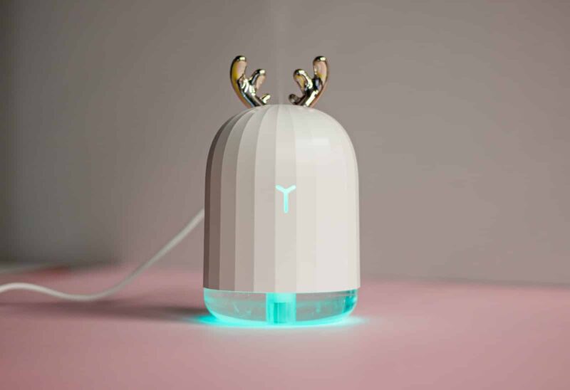 Cool Mist Vs Warm Mist Humidifier
