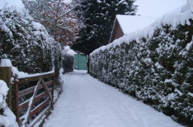 Wooden Driveway Gates