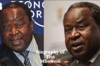 Biography Of Tito Mboweni